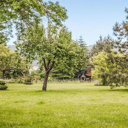 In With Wifi Lägenhet *